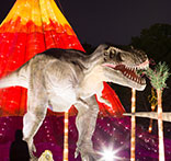 自貢燈會、彩燈彩船制作、會展、仿真恐龍-自貢燈貿